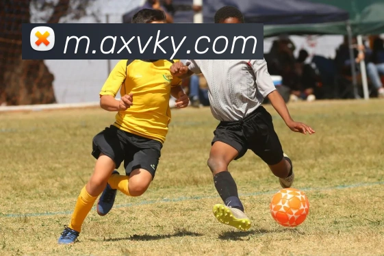 开元棋牌服务体系